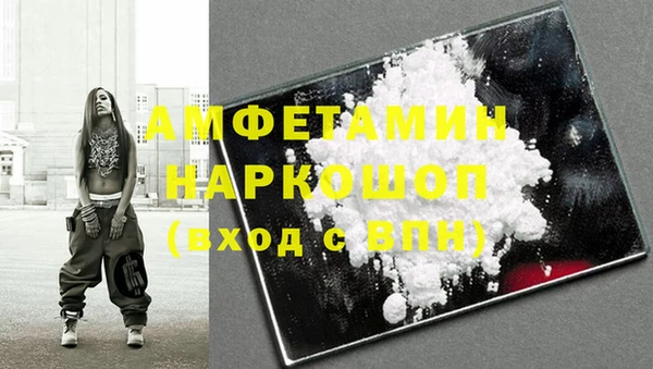 шишки Нестеровская