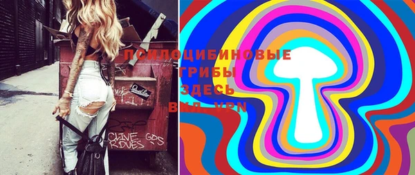 СК Калининец